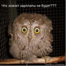 Іра Тимків фотография #49 (источник - https://vk.com/id135945872)