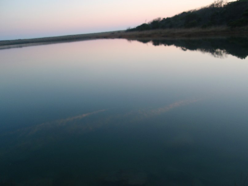 Di Mas фотография #17