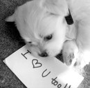 Вікторія Жовтиняк фотография #16 (источник - https://vk.com/id165006564)