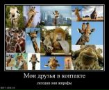 Фотография Сидорова Андрея