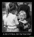 Фотография Ананичев Александр