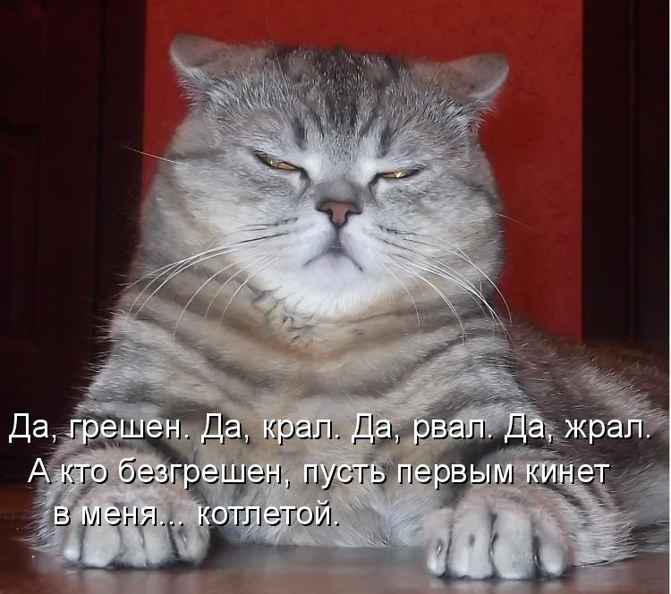 Сергей Кобелев фотография #42