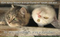 Юлія Пожидаєва фотография #28 (источник - https://vk.com/id20098980)