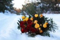 Фотография Алексеевой Марии