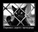 Андрій Кизима фотография #46 (источник - https://vk.com/id134725075)