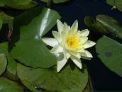 Фотография Лапатухиной Галины