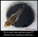 Віталік Гуршал фотография #27 (источник - https://vk.com/id35518912)