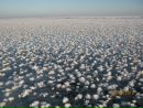 Фотография Игнашковой Нины