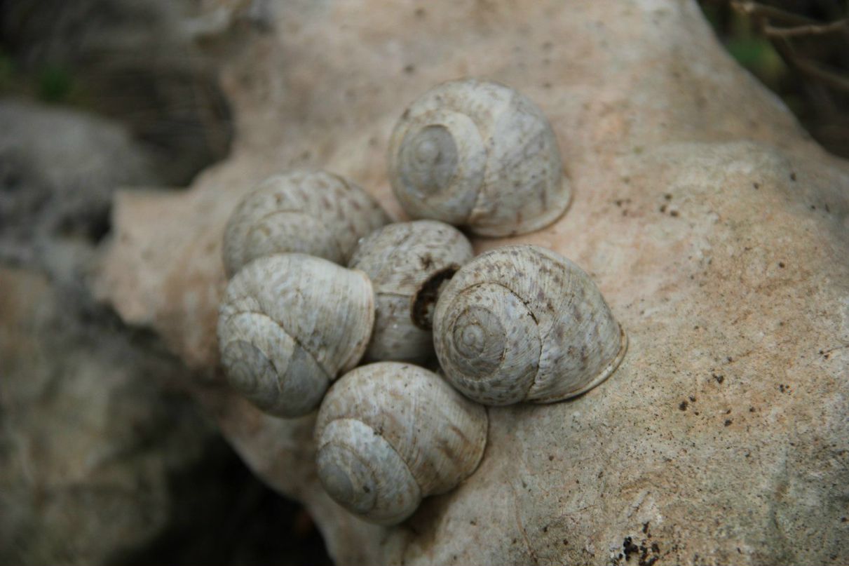 Женя Татировский фотография #37