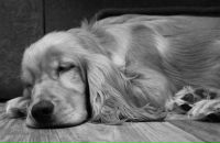 Фотография Суркова Павла