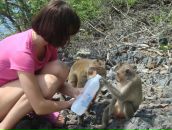 Алина Бойко фотография #44 (источник - https://vk.com/id151836)