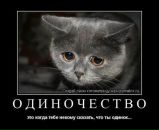 Лєнка Громік фотография #27 (источник - https://vk.com/id152312290)