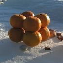 Фотография Цимбаловой Анастасии