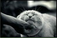 Фотография Горяновой Галины