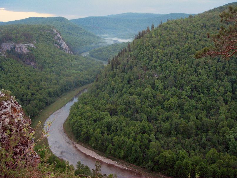 Сергей Левин фотография #18