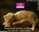 Ігорка Немкович фотография #8 (источник - https://vk.com/id28420644)