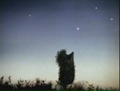 Фотография Радуды Софьи