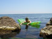 Фотография М Александра