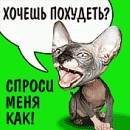 Андрій Діда фотография #12 (источник - https://vk.com/id31400976)