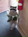 Фотография Нелюбина Владимира