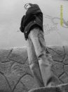 Ромко Карабін фотография #44 (источник - https://vk.com/id43738139)