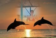 Фотография Миловановой Татьяны