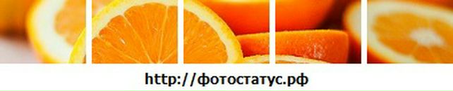 Віка Білець фотография #46 (источник - https://vk.com/id50976738)