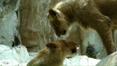 Фотография Сёмухи Татьяны