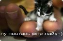 Фотография Смирновой Лены