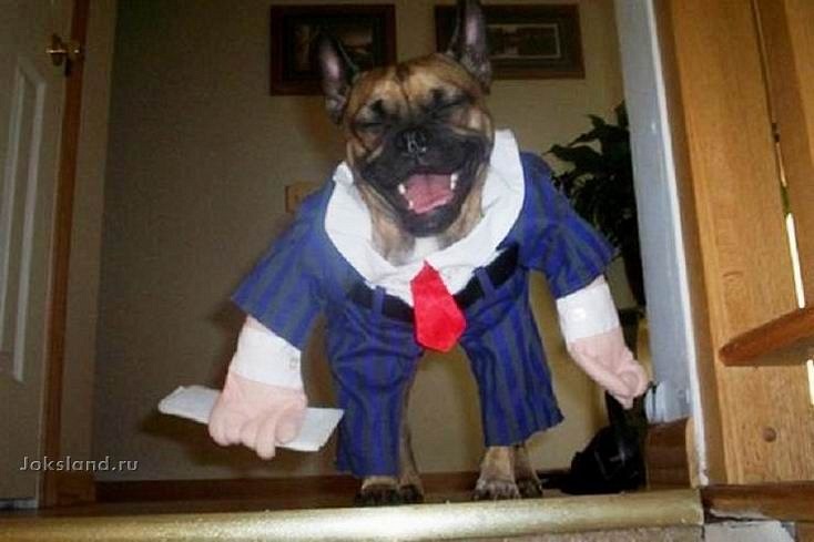 Andy Proff фотография #42