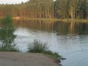 Міша Мельник фотография #16 (источник - https://vk.com/id93270000)