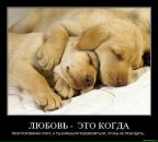 Фотография Степановой Надюшки