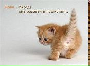 Фотография Мутрисковой Анастасии