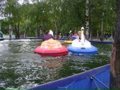 Фотография  