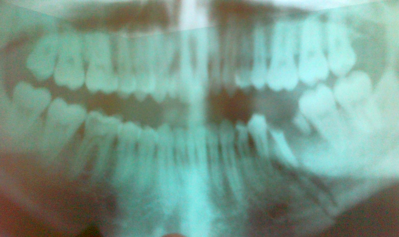 Тёма Жук фотография #11