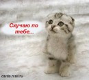 Вікуся Озар фотография #4 (источник - https://vk.com/id64181352)