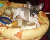 Галина Олексіївна фотография #46 (источник - https://vk.com/id99882186)