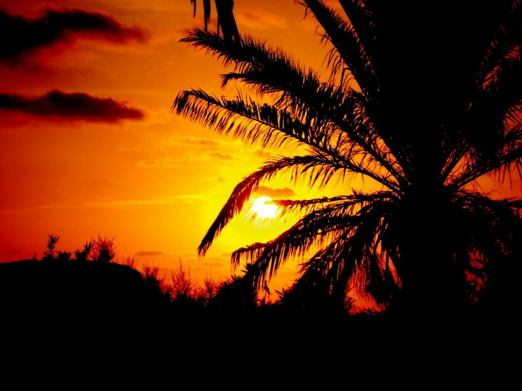 Valya Electra фотография #35