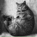 Фотография Черепановой Марины