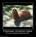 Костянтин Огороднік фотография #47 (источник - https://vk.com/id11103382)