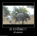 Костянтин Огороднік фотография #44 (источник - https://vk.com/id11103382)