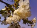 Сергій Приходько фотография #10 (источник - https://vk.com/id15706550)