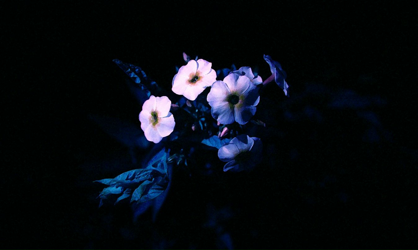 Рустем Гайсин фотография #45