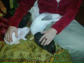 Фотография Бруевой Ольги