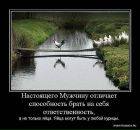 Вікторія Табас фотография #46 (источник - https://vk.com/id76421184)