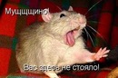 Іванка Стаднічук фотография #1