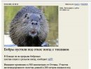 Тёма Тёма фотография #5 (источник - https://vk.com/id69401)