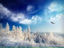 Іра Конончук фотография #32 (источник - https://vk.com/id152226687)