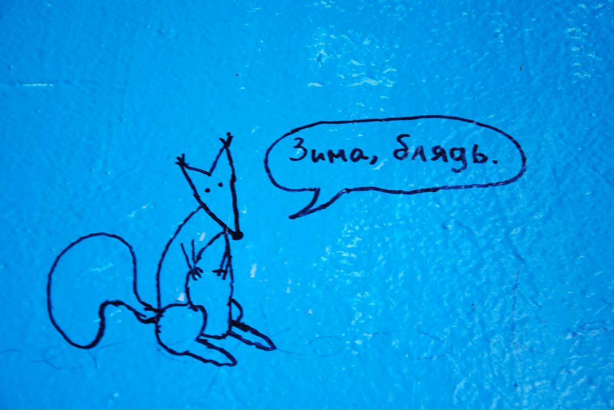 Ewa Walas фотография #2