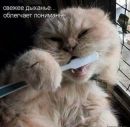 Іра Котлярська фотография #19 (источник - https://vk.com/id68881927)